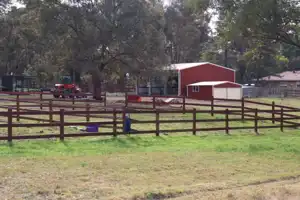 2025-08-09 NSW Rail Museum - IMG_4117_compressed_q80.webp